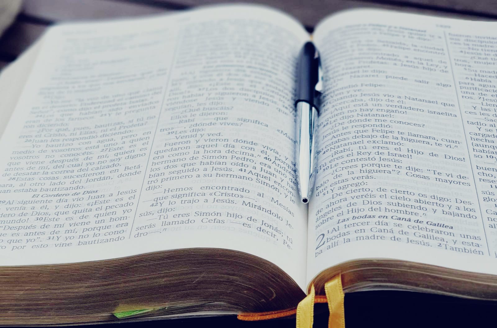 Biblia abierta